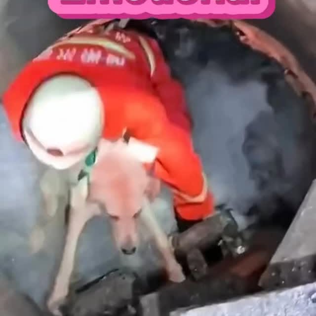  ....ash_   'recent posts' 