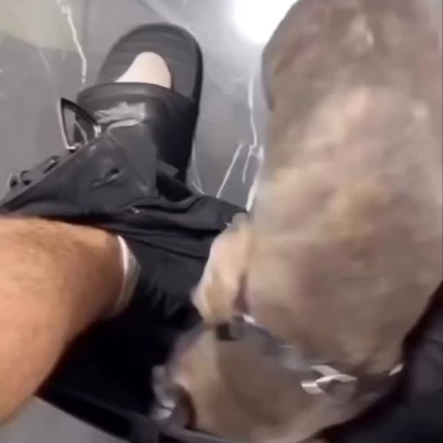  ..........ldogs_only   'recent posts' 