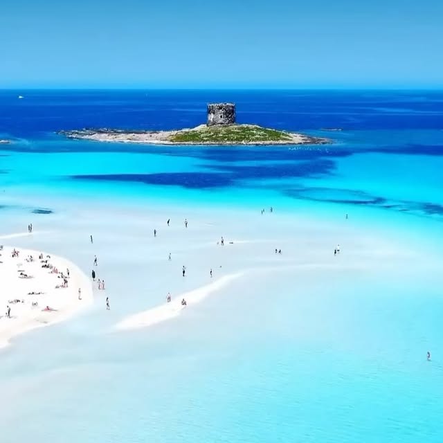  .....fever   'recent posts' 