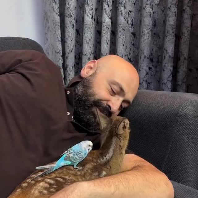  .........lavanzadeh   'recent posts' 