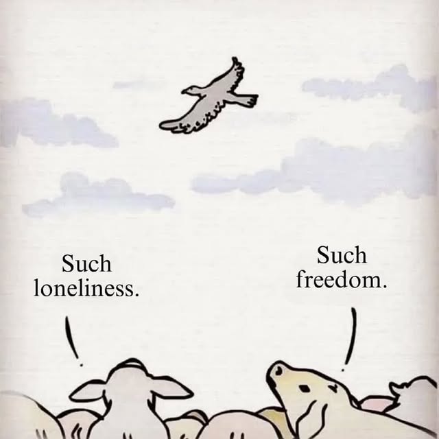  ....labsl   'recent posts' 