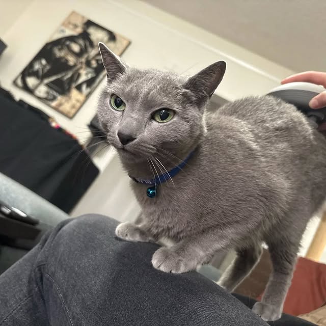  ......n_boris   'recent posts' 