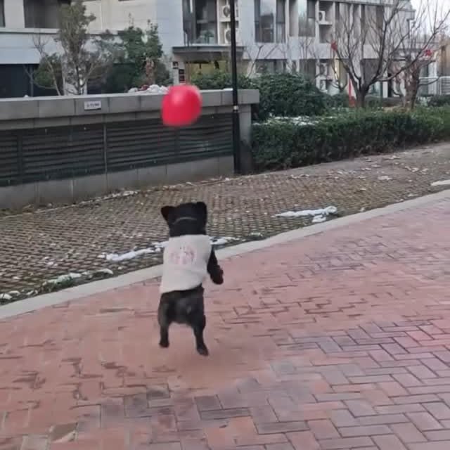  ..........ldogs_only   'recent posts' 