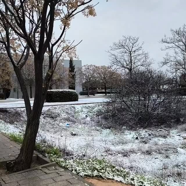  ........viajeros   'recent posts' 