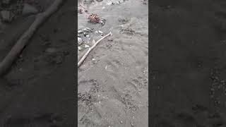  ......erting  'recent videos' 