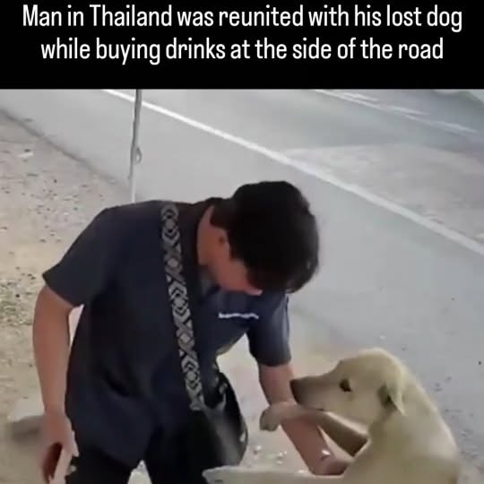  ...slab   'recent posts' 