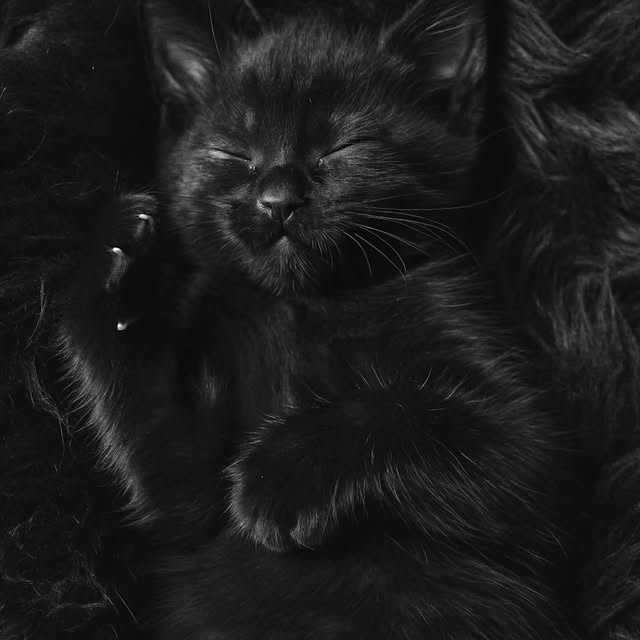  .......ats_club   'recent posts' 