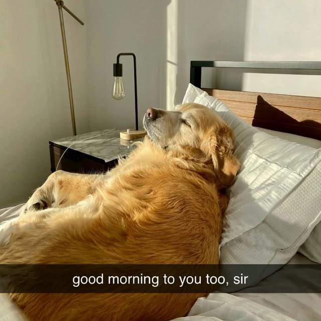  .......ndrulzz   'recent posts' 