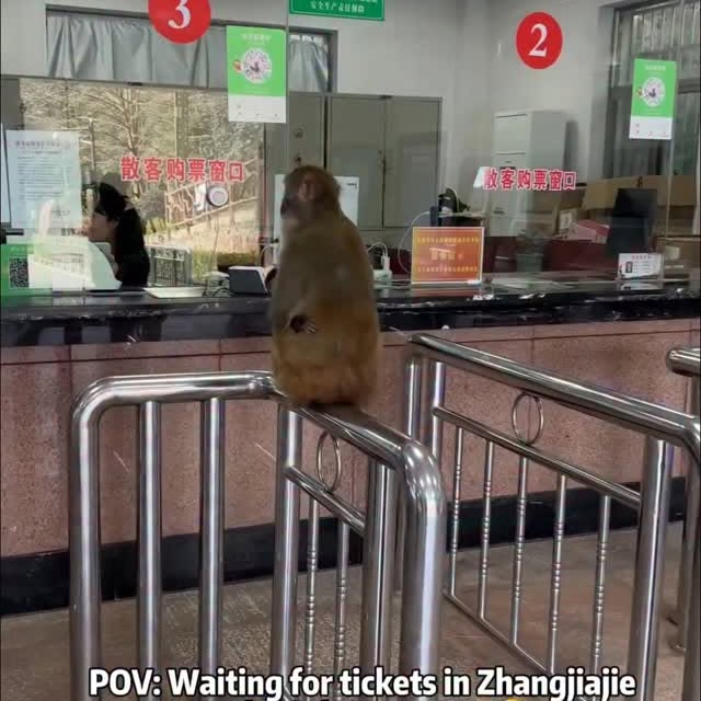  ........vel.club   'recent posts' 