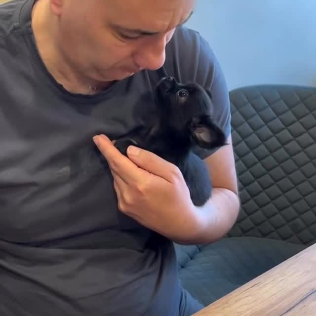  .......uapuppy   'recent posts' 