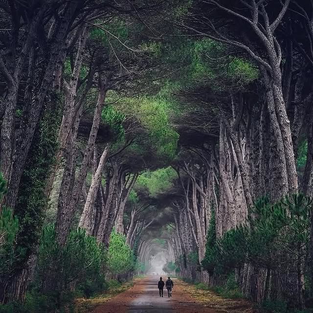  ........vacations   'recent posts' 