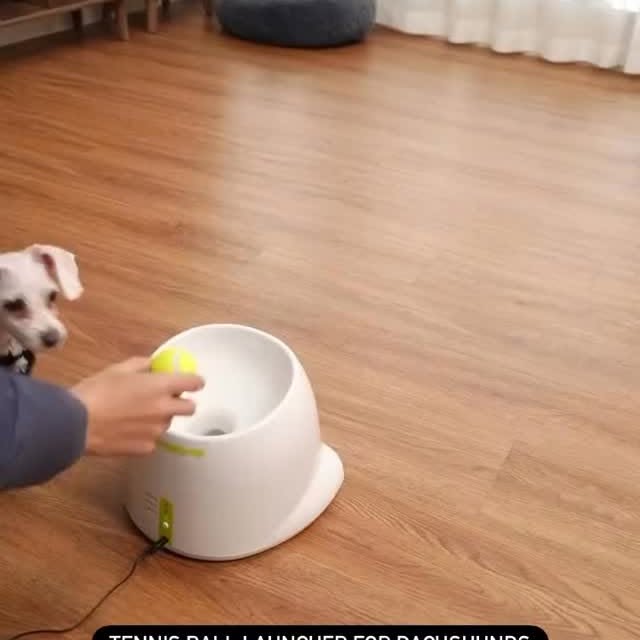  ..........fan.club_   'recent posts' 