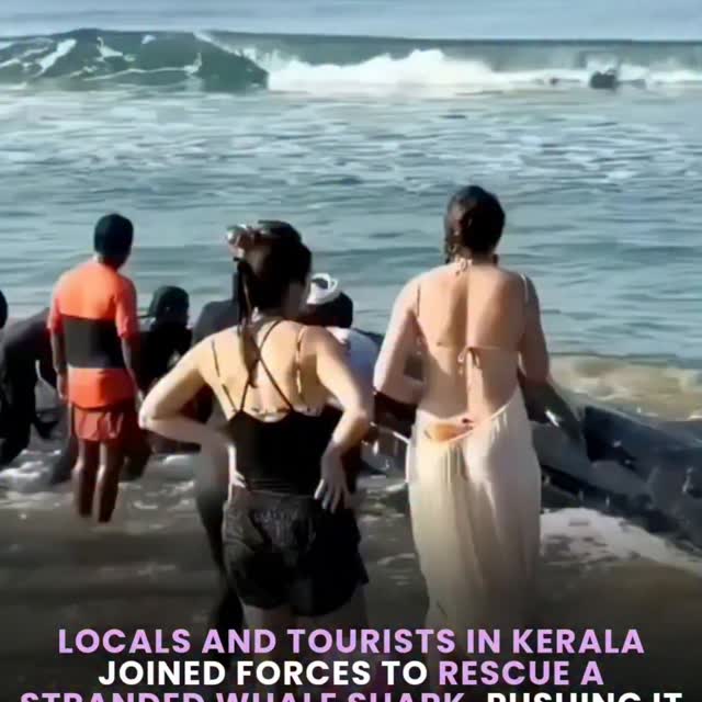  .........terslinked   'recent posts' 