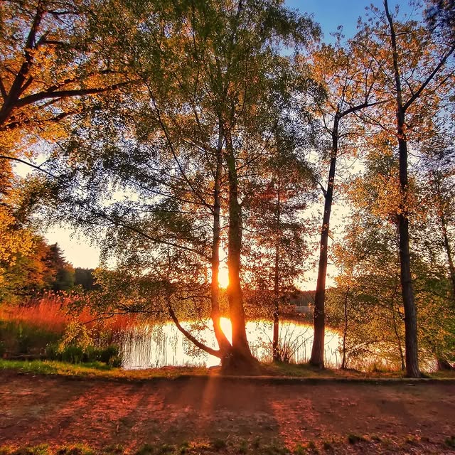  .......urney_d   'recent posts' 