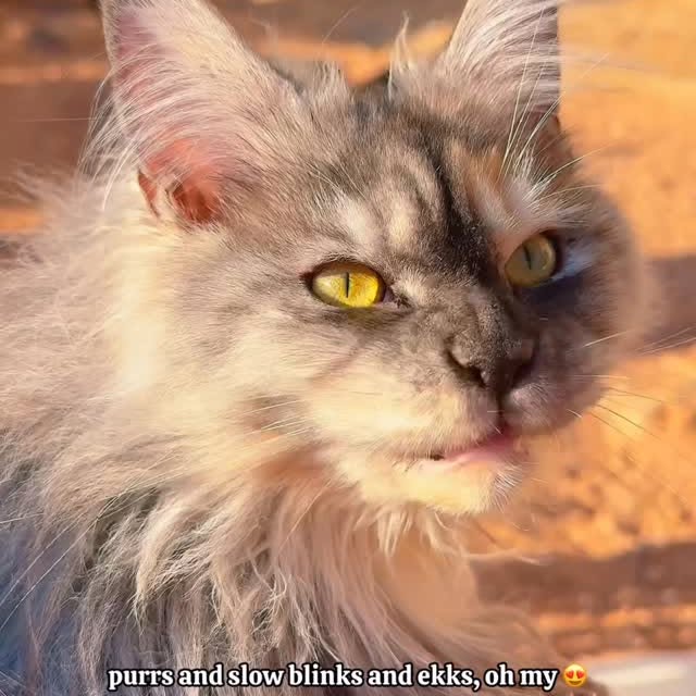  ......kekkek   'recent posts' 