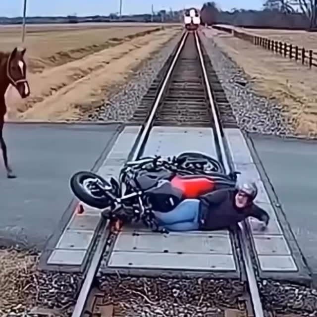  .....nly.ai   'recent posts' 