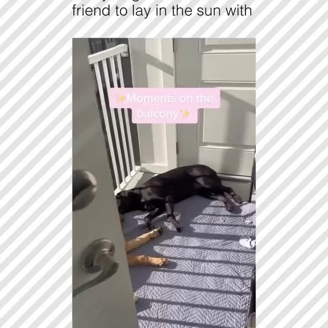  ......rposts   'recent posts' 