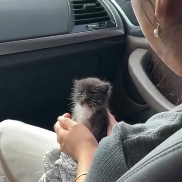  ......atclub   'recent posts' 