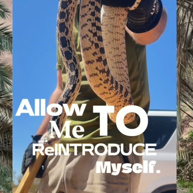  .........nofnomads   'recent posts' 