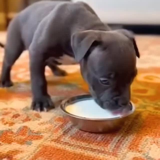  .......plorers   'recent posts' 