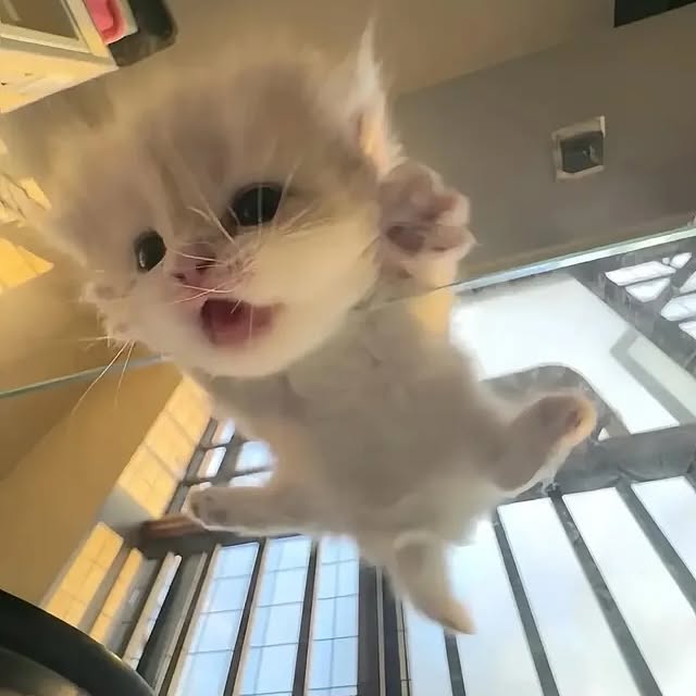  .....kuties   'recent posts' 