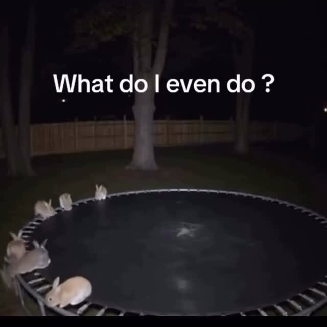  .......inheart   'recent posts' 