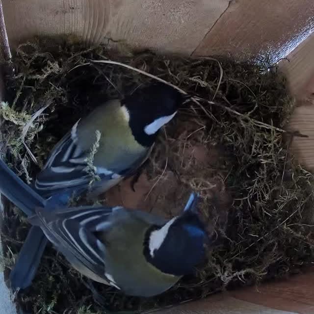  .......avelbook   'recent posts' 