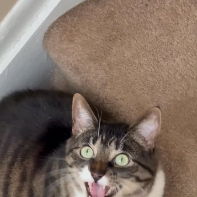  ......kekkek   'recent posts' 