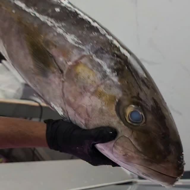  ........mmunches   'recent posts' 