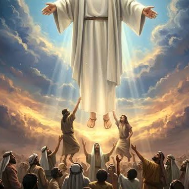  ........slibrary   'recent posts' 