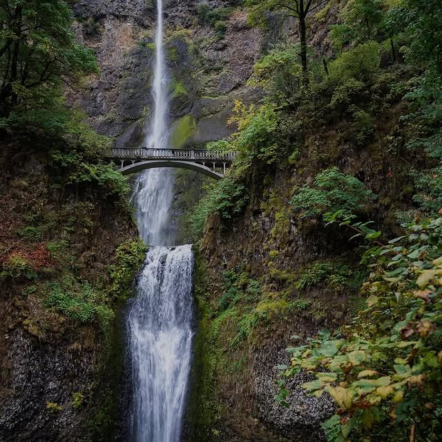  .......utevibes   'recent posts' 