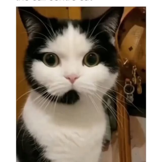  ......alking   'recent posts' 