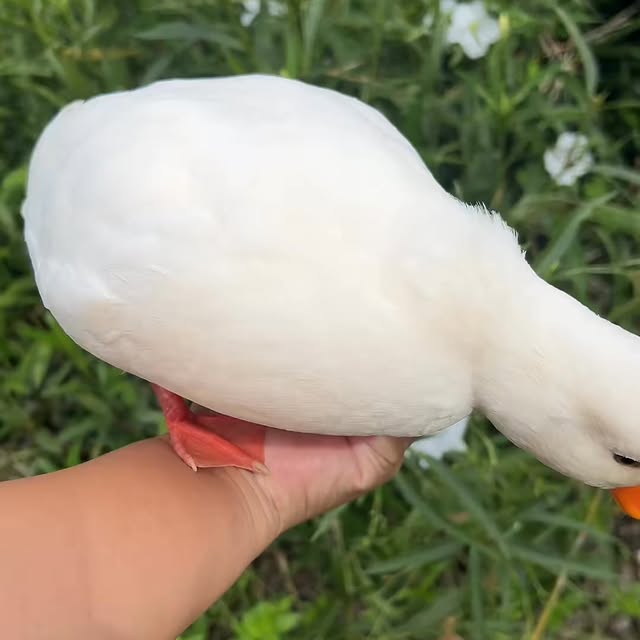  ........ckstatue   'recent posts' 