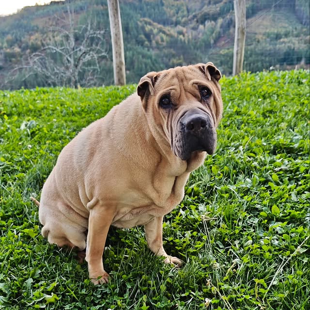  ......i.world   'recent posts' 