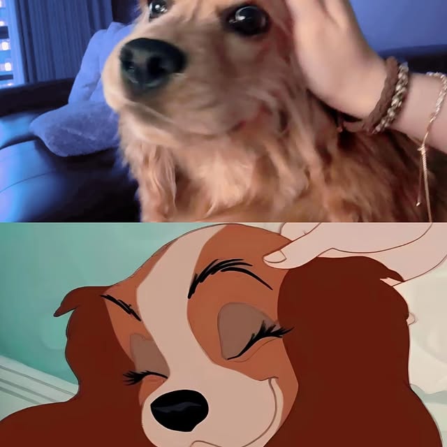  ......ofinsta   'recent posts' 