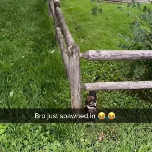  ......alking   'recent posts' 