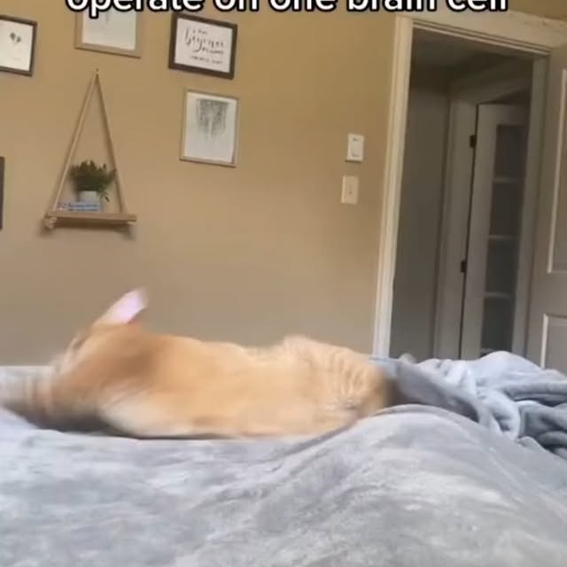  .....li9ht   'recent posts' 