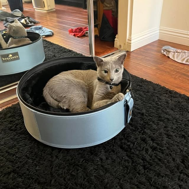  ......n_boris   'recent posts' 