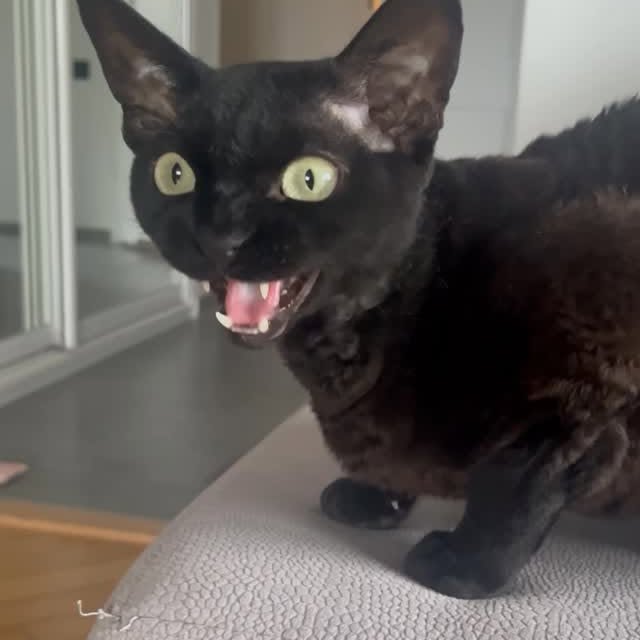  ......kekkek   'recent posts' 