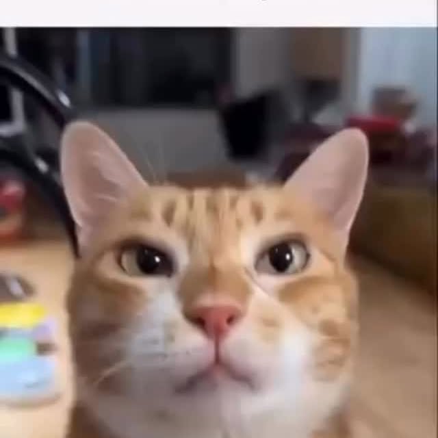  ....eowsy   'recent posts' 