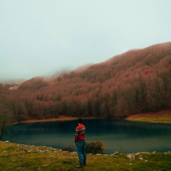  ....ylux   'recent posts' 