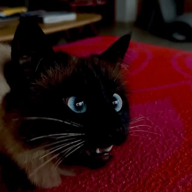  ......kekkek   'recent posts' 