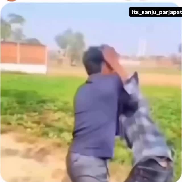  .....memes   'recent posts' 