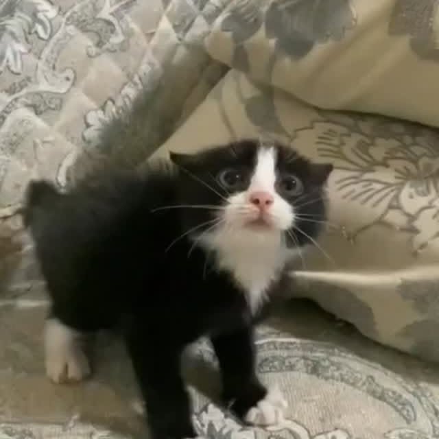  ......nd.kits   'recent posts' 