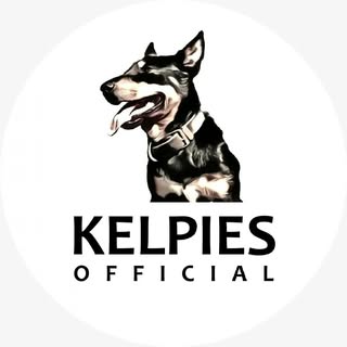 Hire .......official influencer with 21.4k