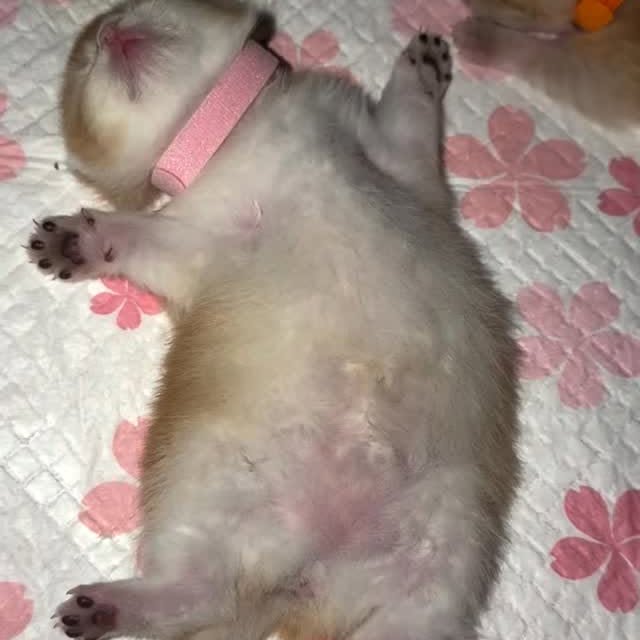  .....attos   'recent posts' 