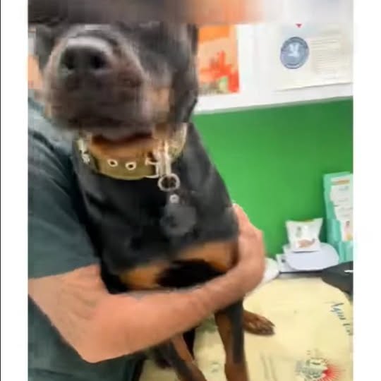  .....ibess   'recent posts' 