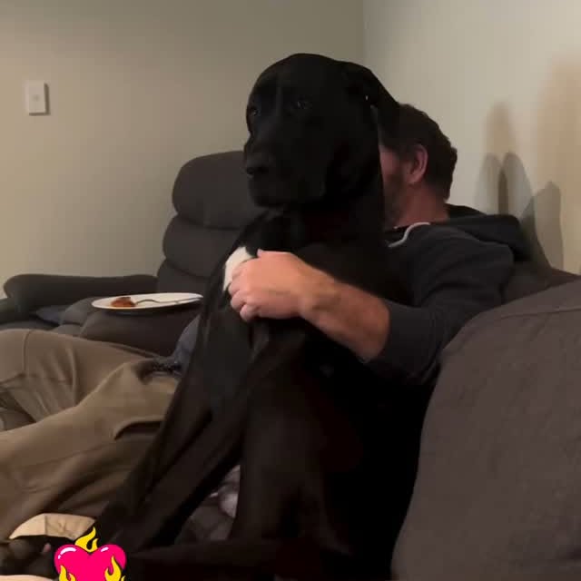  ........versgram   'recent posts' 