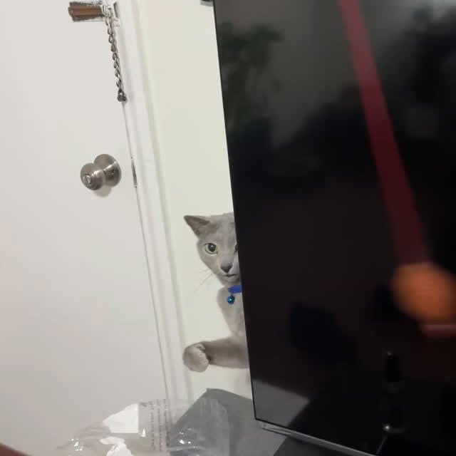  ......n_boris   'recent posts' 