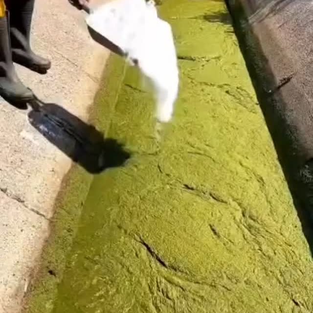  .......ivehouse   'recent posts' 